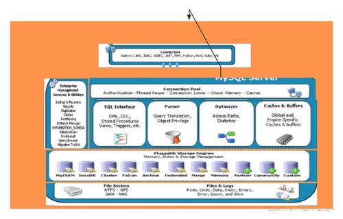 my sql 体系结构图